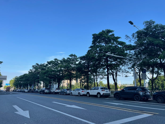 Nansha autonomous driving corridor
